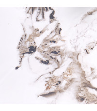 GARET stół okrągły, biały marmur / czarny (2p1szt)