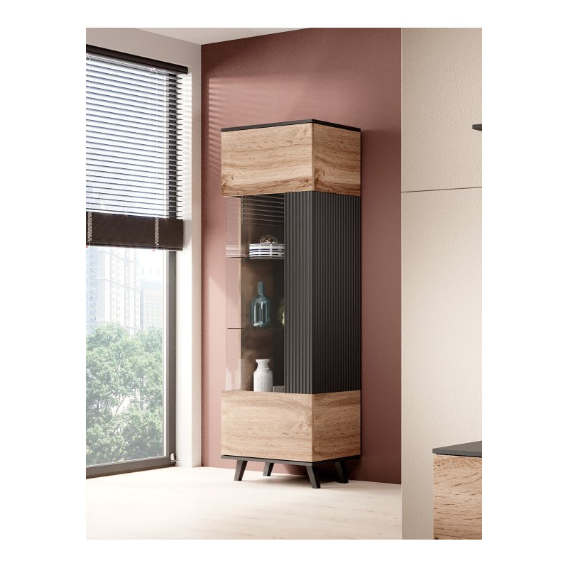 RANDOM W-1 witryna dąb wotan/czarny (2p1szt)