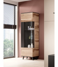 RANDOM W-1 witryna dąb wotan/czarny (2p1szt)