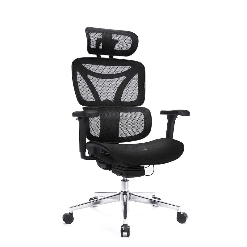Fotel ergonomiczny Control Pro Czarny