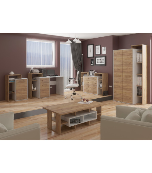 Szafa P2D  Rio - RIO-24 - Craft biały/Craft złoty