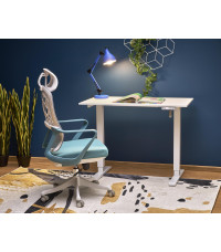 B53 biurko biurko z funkcją regulacji wysokości, biały (2p1szt)